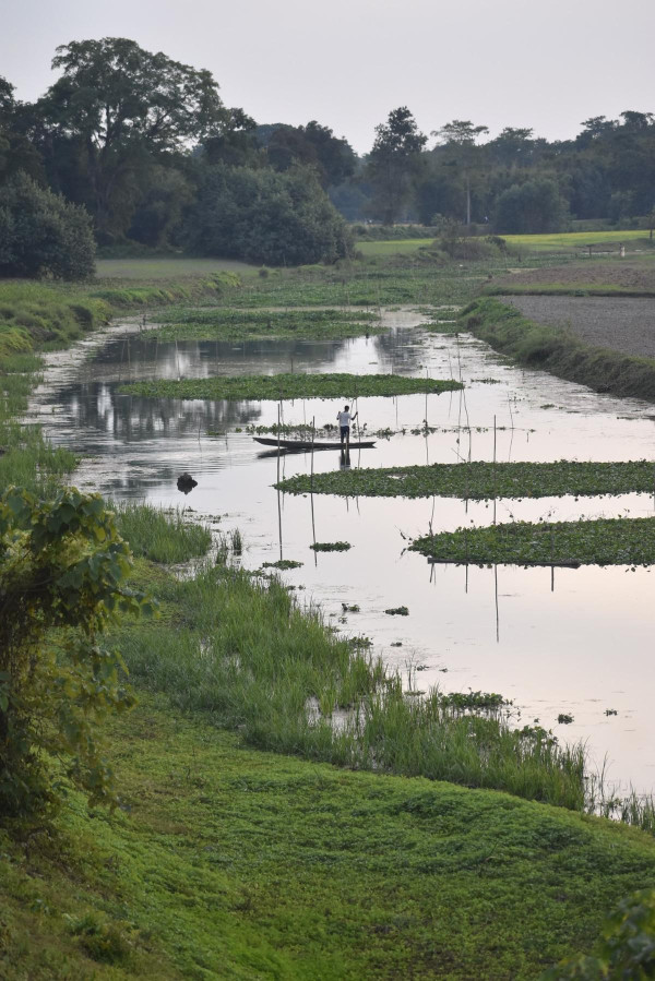 Bordoibam Bilmukh Bird Sanctuary