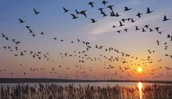 Sunset view at Deepor Beel, Guwahati