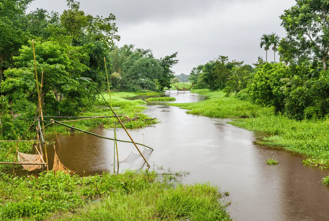 Assam During Monsoon Season