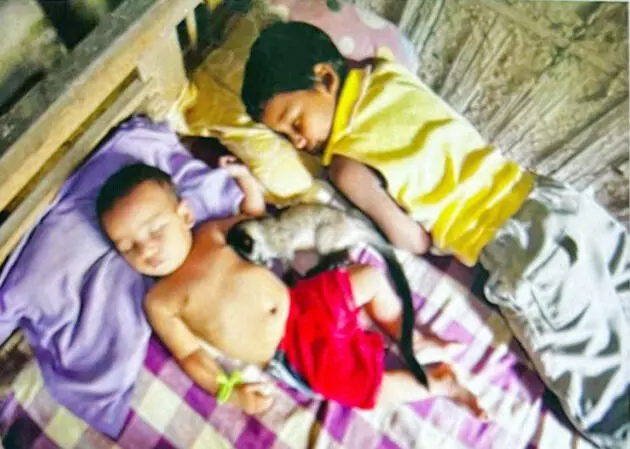 Baby Bhakat: The Inspiring Assam Civet Cub Story That Reached CBSE Classrooms Across India