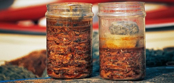 Hukoti: Traditional Fermented Fish of Assam
