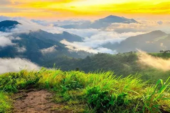 Dima Hasao