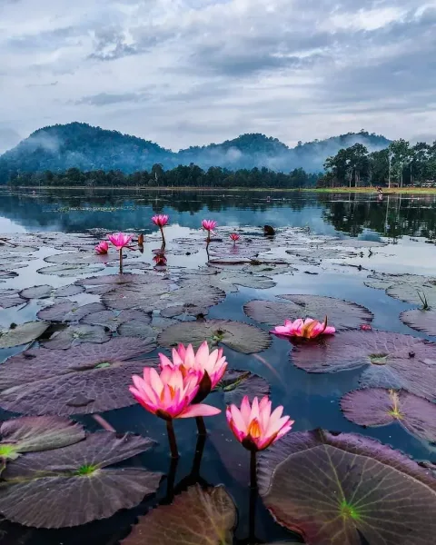 Chandubi Lake