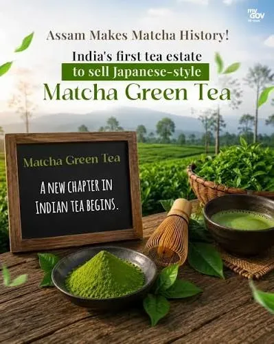 Matcha Tea