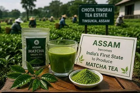 Matcha Tea