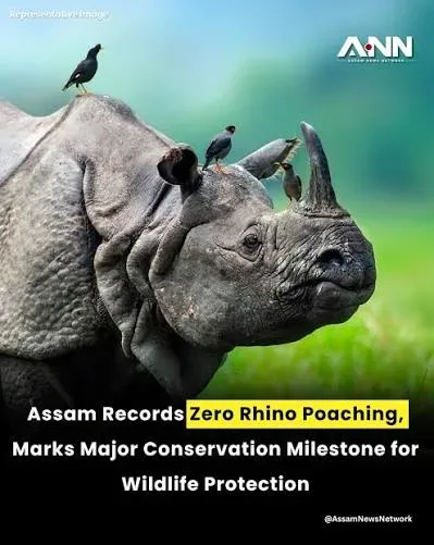 Assam Records Zero Rhino Poaching in 2025