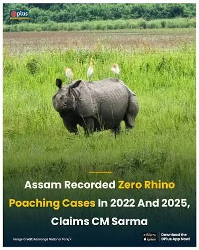 Assam Records Zero Rhino Poaching in 2025