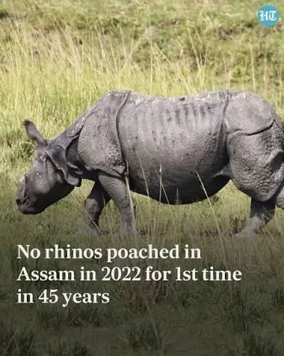 Assam Records Zero Rhino Poaching in 2025