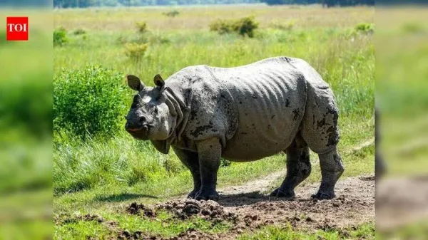 Assam Records Zero Rhino Poaching in 2025