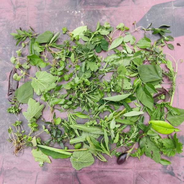 Assamese herbs