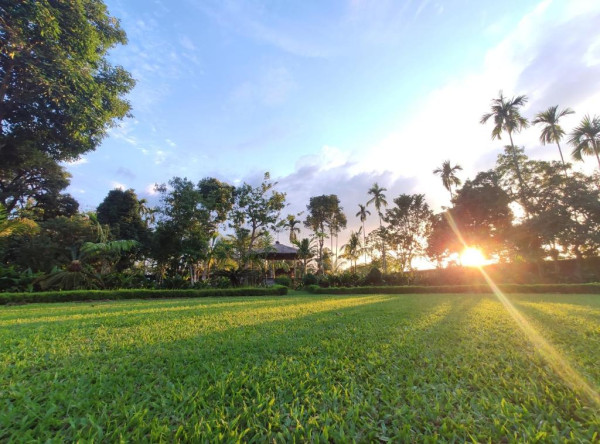 Sapoi Tea Farms Heritage Bungalow