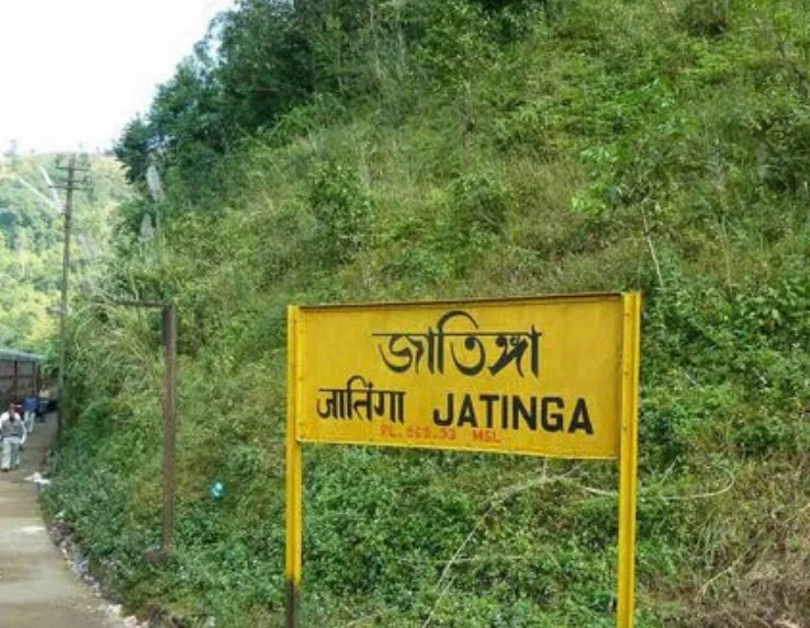 Jatinga
