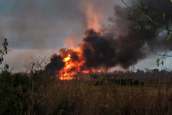 Forest Fires in Assam