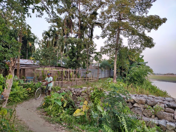 Life on the char-chapori of Assam