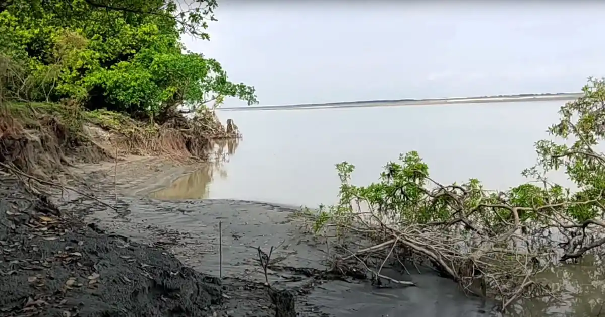 Life on the char-chapori of Assam