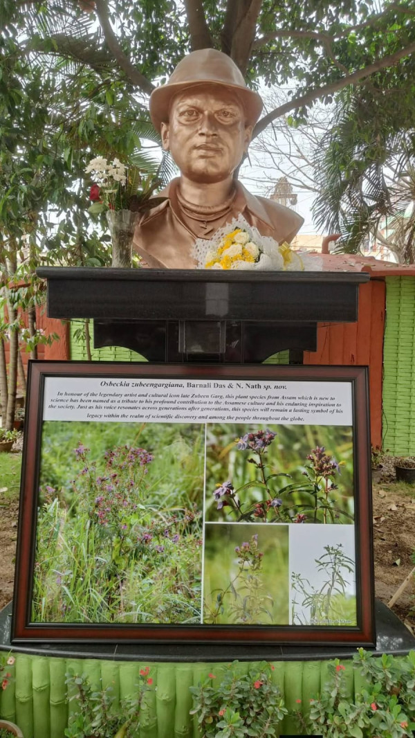 Osbeckia zubeengargiana