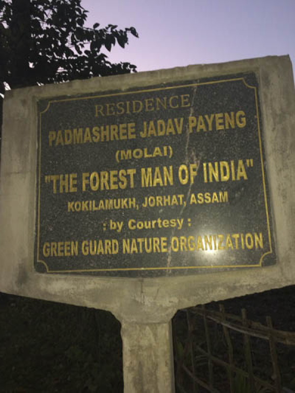 Jadav Payeng the Forest Man of India