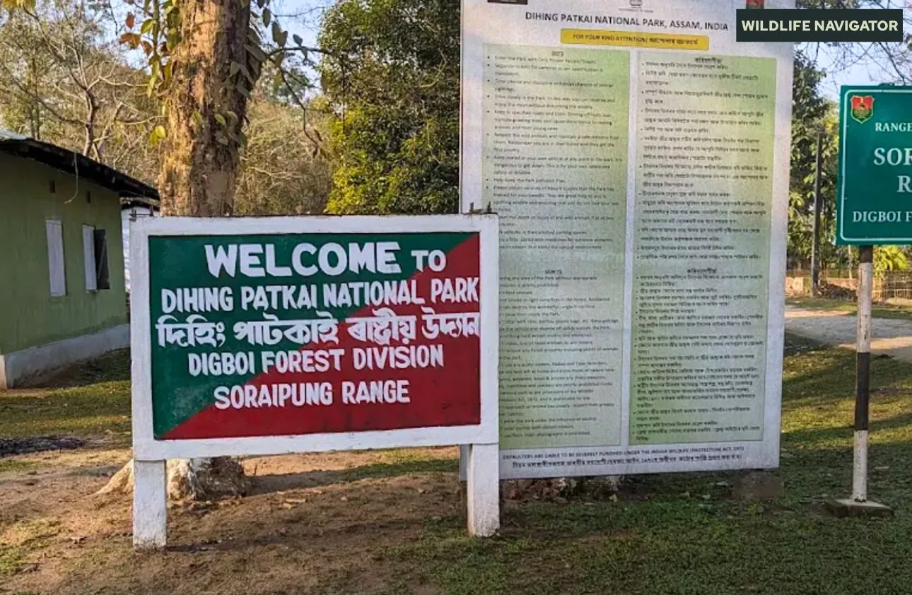 Dihing Patkai rainforest in Assam