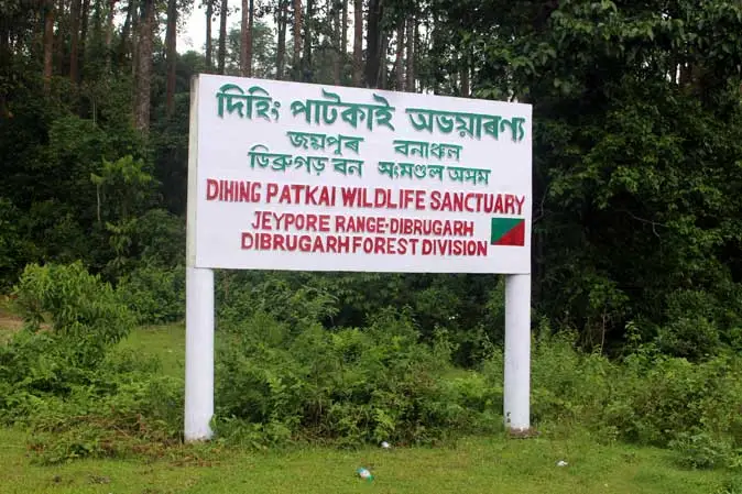 Dihing Patkai rainforest in Assam