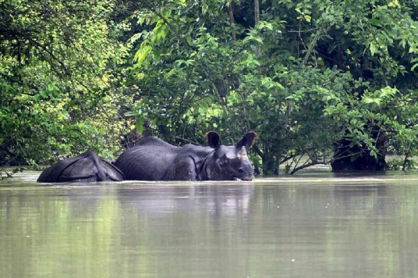 Assam Sustainability Challenges 2030