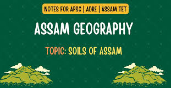 The Geology and Soil Secrets of Assam Blend