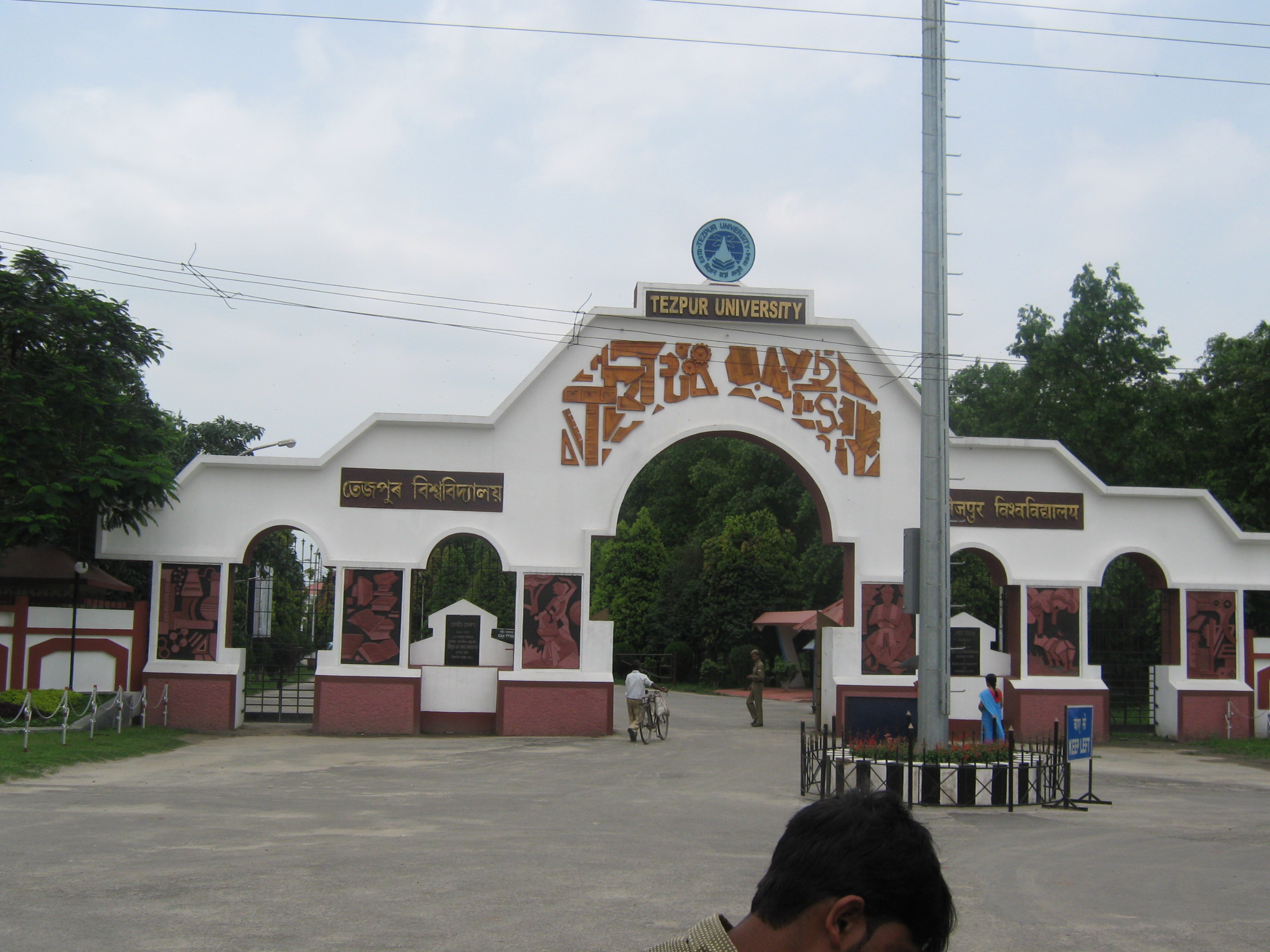 Tezpur University - Specialized Knowledge Promotes Creativity institution