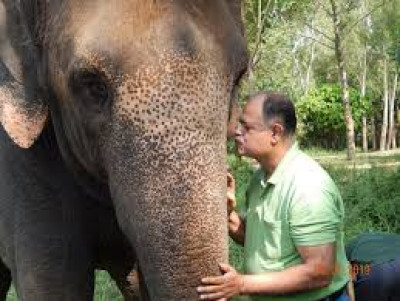 Dr. Kushal Konwar Sarma Biography - Padma Shri Awardee Elephant Doctor Of Assam — famous personality from Assam