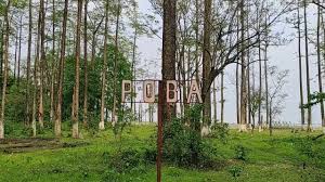 Poba Forest Festival Of Assam: Celebrating Biodiversity And Conservation festival