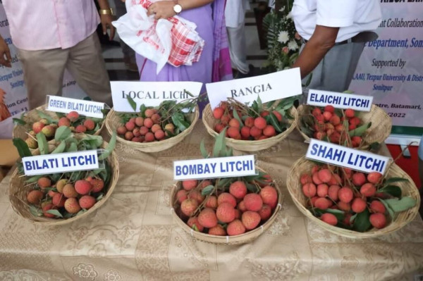 Tezpur Litchi Festival – Celebrating The Gi Tagged Pride Of Assam festival