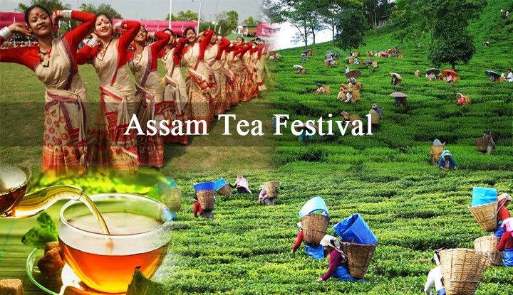 Tea Festival Of Assam festival