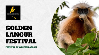 Golden Langur Festival In Assam At Kakoijana Reserve Forest festival in Assam