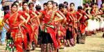 Dehing Patkai Festival