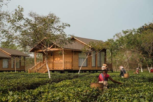 Which Property In Assam Was Named Hotel Of The Year 2025? — Assam general knowledge article