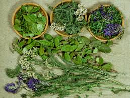 List Of Traditional Assamese Remedies And Wellness Practices And Their Uses. — Assam general knowledge article