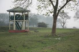 What Are The Best Bird Watching Trails Or Spots In Assam? — Assam general knowledge article