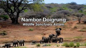 Are Nambor-doigrung Wildlife Sanctuary And Nambor Wildlife Sanctuary The Same? — Assam general knowledge article