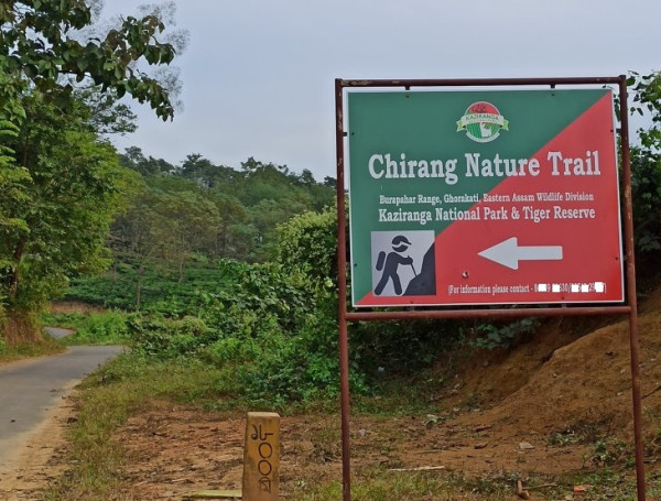 What Are The Best Trekking Places In Assam And Which Trails Are Suitable For Beginners And Expert Trekkers? — Assam general knowledge article