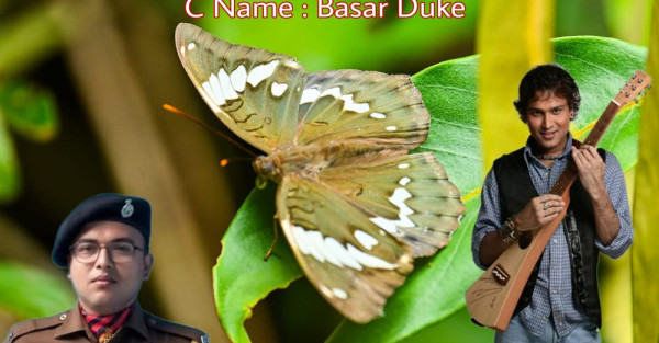 What Is Euthalia (limbusa) Zubeengargi Butterfly? — Assam general knowledge article