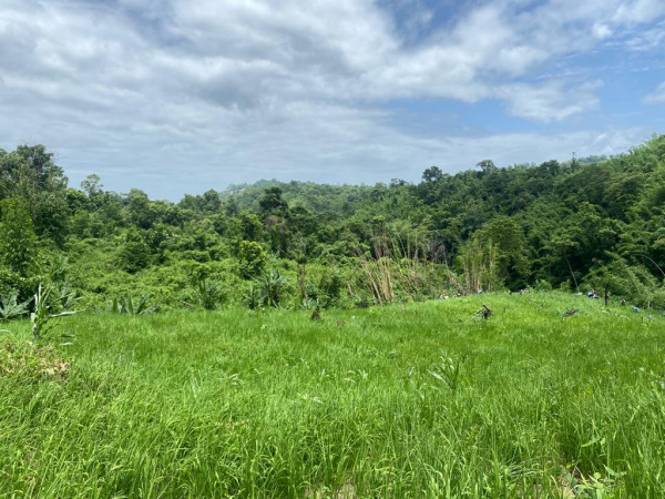 Which Are The Natural Green Lungs Of Assam? — Assam general knowledge article