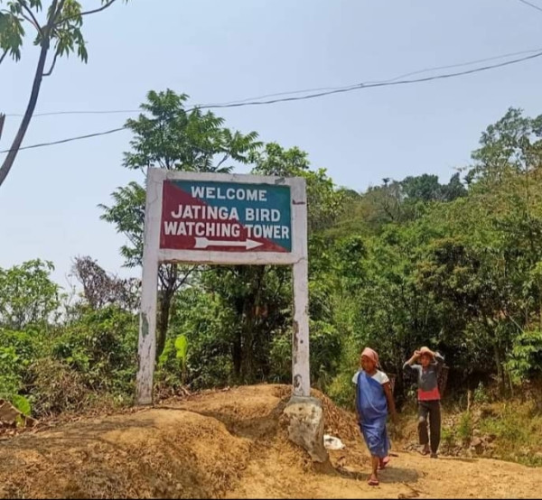 What Is The Real Reason Behind The Mysterious Bird Deaths In Jatinga Village Of Assam? — Assam general knowledge article