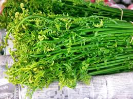 What Is Dhekia Xaak In Assam? Nutritional Benefits, Traditional Recipes, And Cooking Tips — Assam general knowledge article