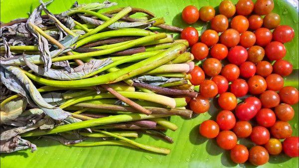 What Is Thuri Kosu Paat In Assam? Health Benefits And Traditional Assamese Cooking Guide — Assam general knowledge article