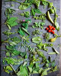 What Is 101 Xaak Or Haak Axxo Ek Bidh Xaak (hundred And One In Assam? Significance In Goru Bihu And List Of Assamese Leafy Greens — Assam general knowledge article