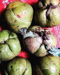 What Is Outenga In Assam? Health Benefits And Traditional Assamese Cooking Methods — Assam general knowledge article