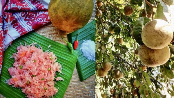 What Is Robab Tenga In Assam And How Is It Used In Assamese Traditional Cuisine? — Assam general knowledge article
