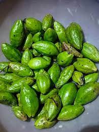 What Is Silikha (haritaki) In Assam And What Are Its Traditional Health Benefits? — Assam general knowledge article