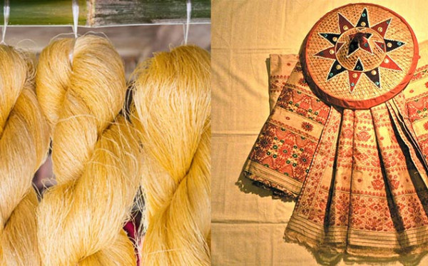 What Is Muga Silk? — Assam general knowledge article