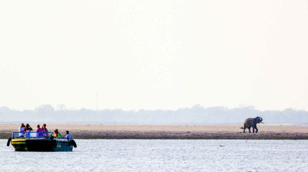 Kaziranga Boat Safari On Brahmaputra River – Price, Timings, Wildlife & Booking Guide. — Assam general knowledge article