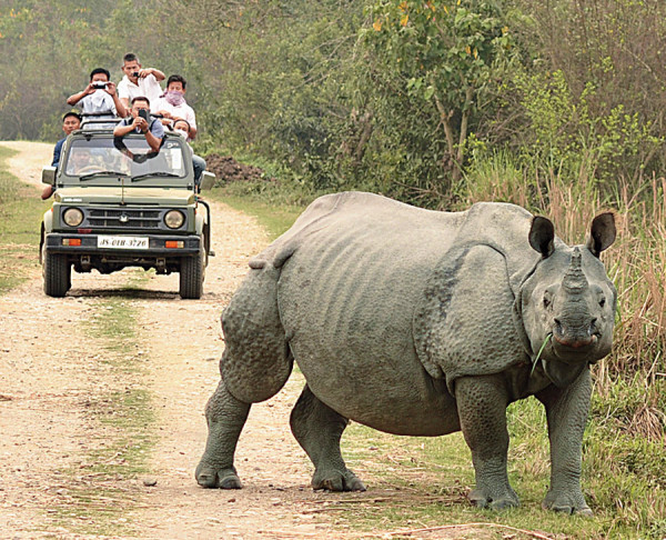 Kaziranga Jeep Safari Price : Updated Cost, Zones, And Booking Details For Indians & Foreigners. — Assam general knowledge article