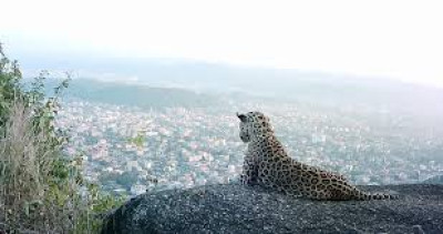 Where Is Adingiri Hills In Guwahati? illustration